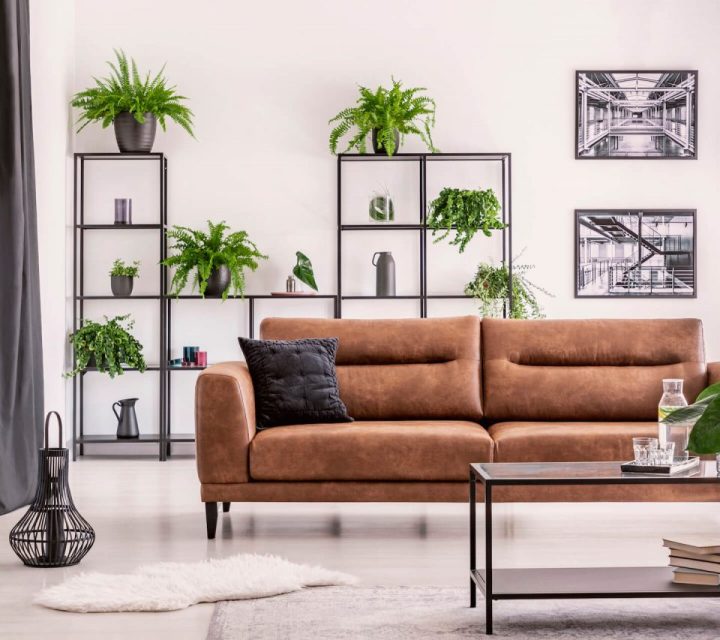 interior-design-created-by-plant-lover-different-2021-08-26-15-45-33-utc-e1678066462894.jpg